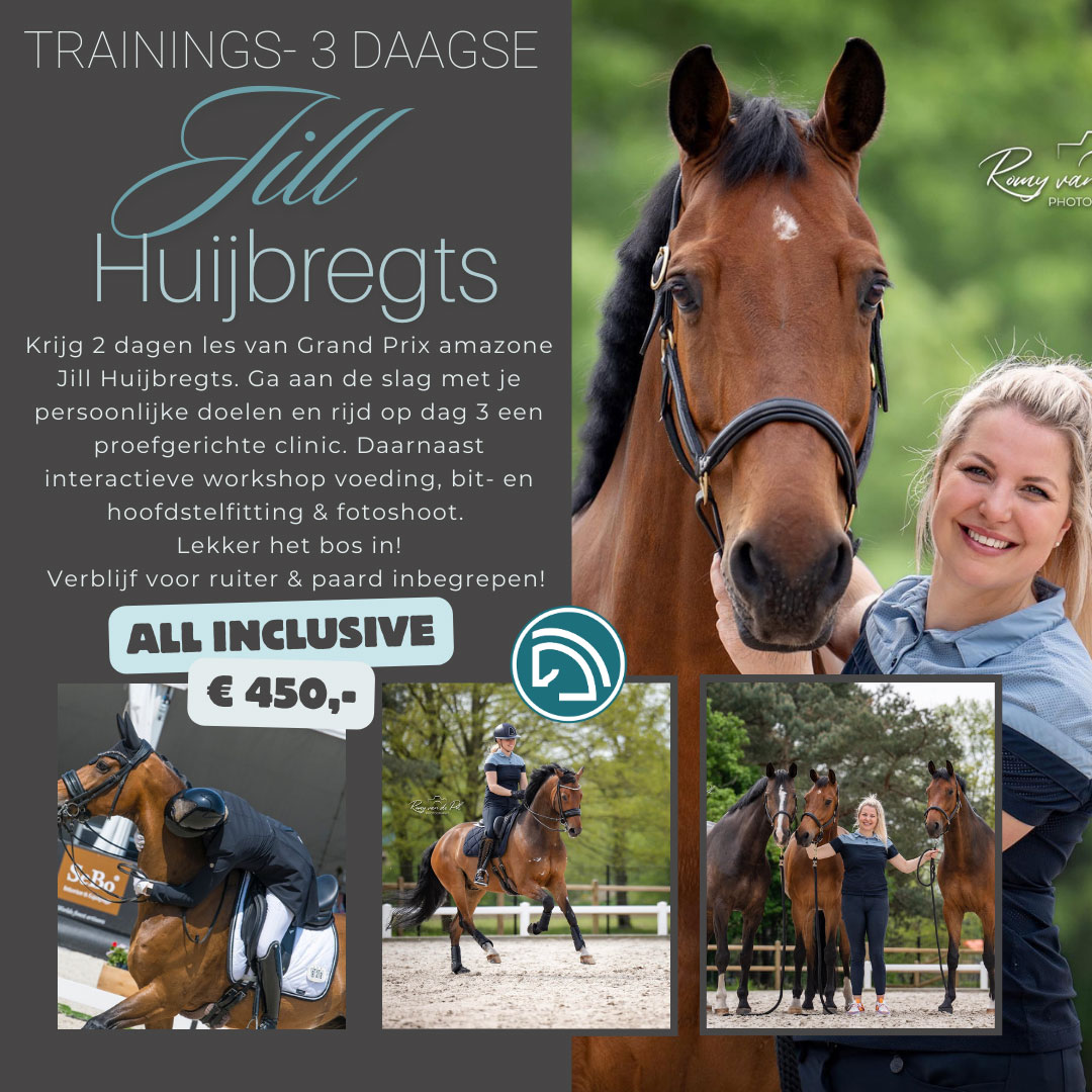 Trainings- 3 daagse Jill Huijbregts 14.0