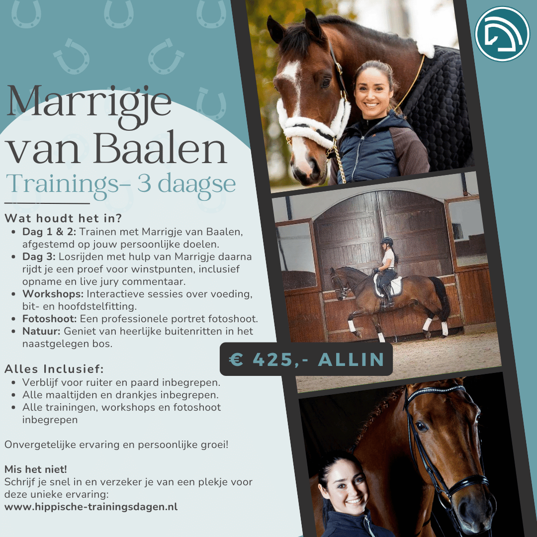 Trainings- 3 daagse Marrigje van Baalen (16.0)