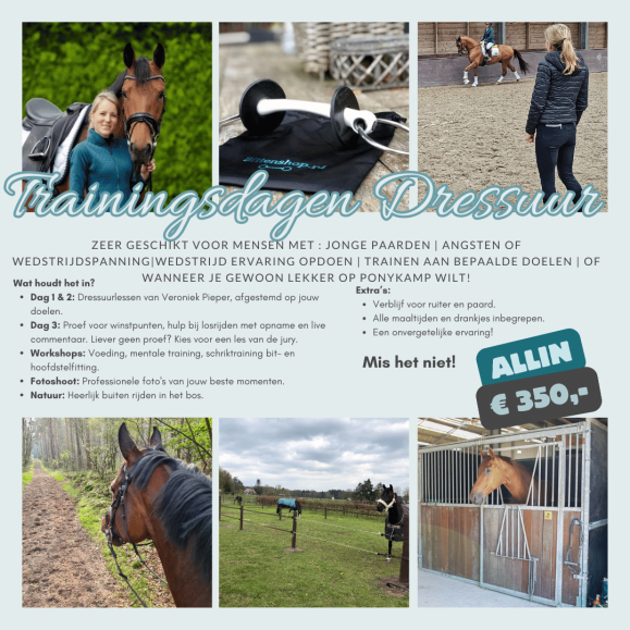 Trainings- 3 daagse dressuur Veroniek Pieper 5.0