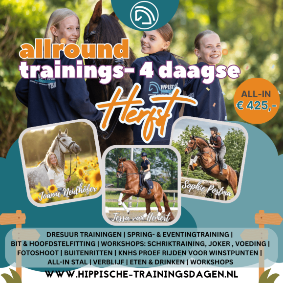 Trainings- 4 daagse Allround (Dressuur / springen) herfstvakantie 2024 (1)